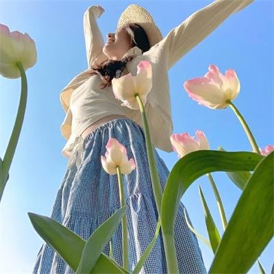 侠岚